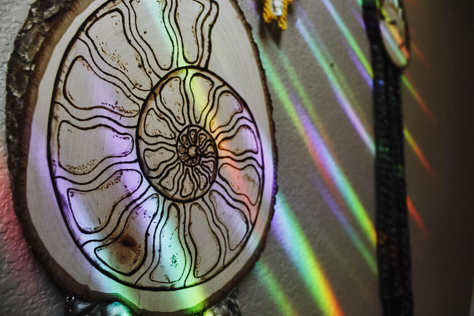 ammonite wood burn